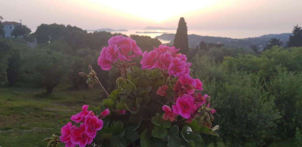 Villa Angelko Kavvadades Εξωτερικό φωτογραφία